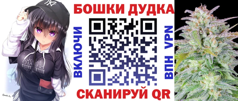 Где можно купить наркотики Судогда KRAKEN ССЫЛКА  Марихуана  Меф мяу мяу  ГАШ  APVP 