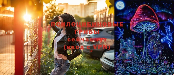 a pvp Абаза