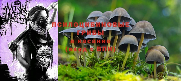 гидропоника Абдулино
