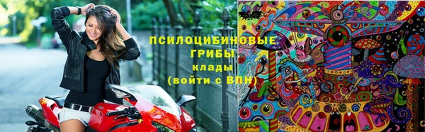 стаф Алзамай
