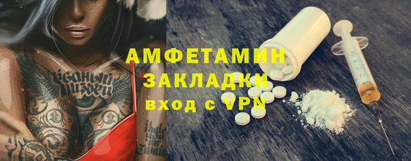 стаф Алзамай