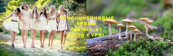 стаф Алзамай
