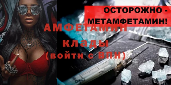 стаф Алзамай