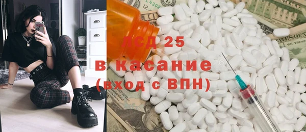 стаф Алзамай
