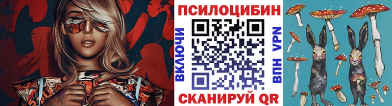 блэк спрут зеркало  как найти закладки  Судогда  Галлюциногенные грибы прущие грибы 