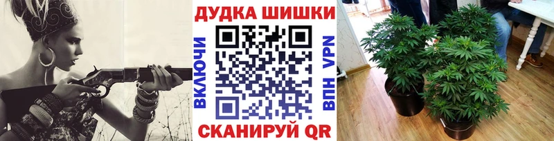 Шишки марихуана AK-47  где продают   Судогда 